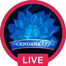 cendana777 APK Terbaru: Download Cepat dan Gratis dan vespa69: Rangkuman Brand yang Banyak Dicari